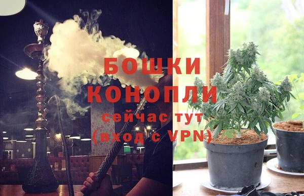 наркотики Бородино