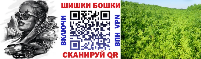 магазин продажи наркотиков  мориарти наркотические препараты  МАРИХУАНА ГИДРОПОН  Калининград  hydra  